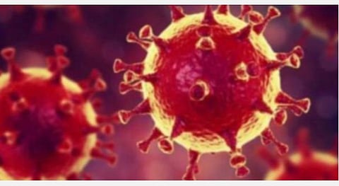 புதுச்சேரியில் 175 பேருக்கு கரோனா தொற்று: மேலும் 8 பேர் உயிரிழப்பு