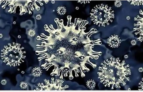 கோவையில் கருப்புப் பூஞ்சை தொற்றால் 30 பேருக்குப் பார்வை இழப்பு: அரசு மருத்துவமனை டீன் தகவல்