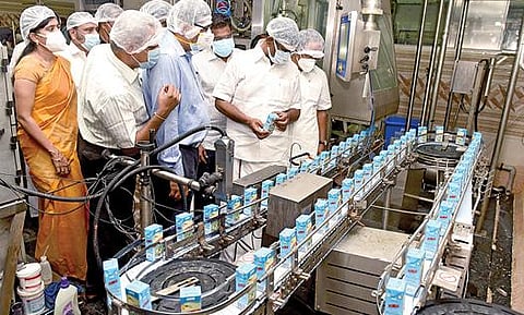 சேலம் ஆவின் பால்பண்ணையில் பால் பொருட்கள் உற்பத்தி பிரிவில் அமைச்சர் நாசர் நேற்று ஆய்வு மேற்கொண்டார். உடன் பால்வளத்துறை மேலாண்மை இயக்குநர் கந்தசாமி, ஆட்சியர் கார்மேகம் உள்ளிட்டோர்.படம்: எஸ்.குரு பிரசாத்