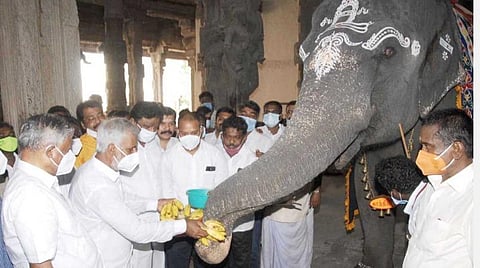 அமைச்சர் சேகர் பாபு நெல்லையப்பர் கோயிலுக்குச் சென்று ஆய்வு நடத்தினார்.