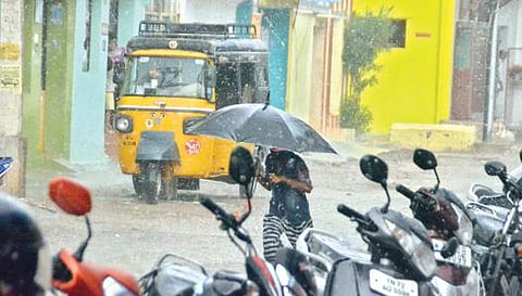 வருமா... வராதா.. என, பல நாட்களாக எதிர்பார்த்த மழை, நேற்று யாரும் எதிர்பார்க்காத நிலையில் திடீரென வந்து திருநெல்வேலி மக்களை மகிழ்ச்சியில் ஆழ்த்தியது. பாளையங்கோட்டையில் குடையின் உதவியுடன் மழையில் நனையாமல் வீட்டுக்கு விரைந்த சிறுவன். படம்: மு.லெட்சுமி அருண்