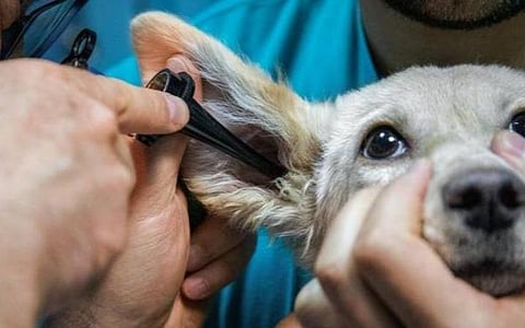 கோப்புப்படம்