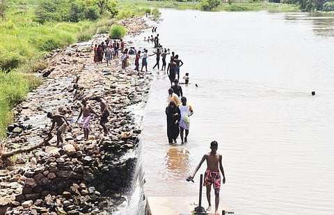சுத்தமல்லியில் தாமிரபரணி ஆற்றில் உள்ள தடுப்பணையில் நேற்று ஏராளமானோர் குளித்தனர். படம் மு. லெட்சுமி அருண்