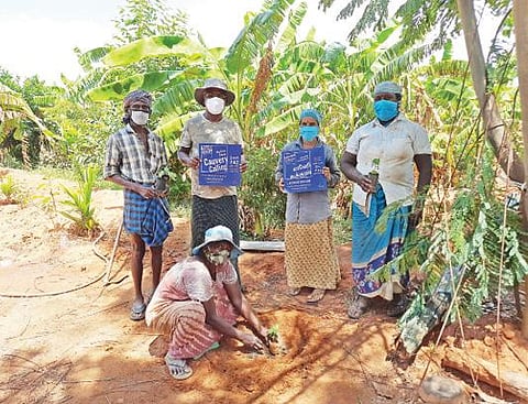 திருநெல்வேலியில் ‘வன மகோத்சவத்தை’ முன்னிட்டு மரக்கன்றுகள் நடப்பட்டன.
