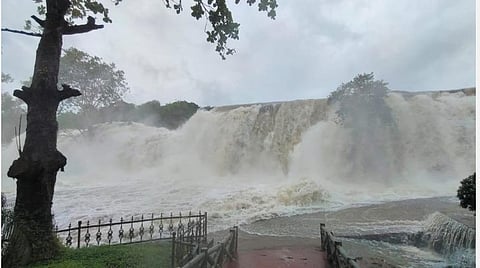 அபாயகரமாகக் காட்சியளிக்கும் திற்பரப்பு அருவி.