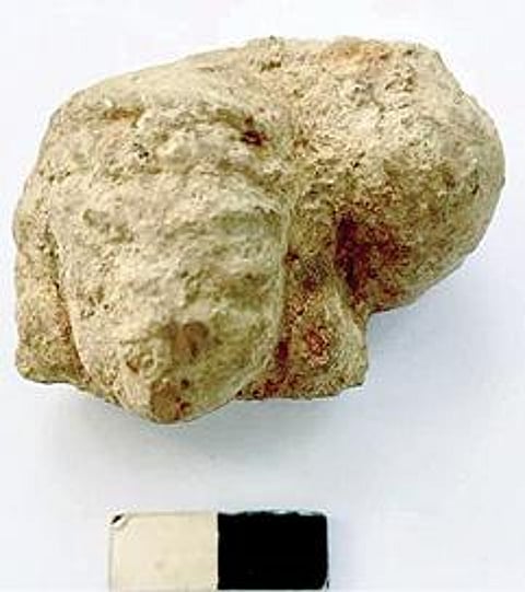 அகரத்தில் கண்டெடுக்கப்பட்ட சுடுமண் பெண் பொம்மை.