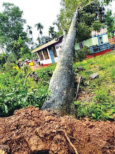 நீலகிரியில் இடைவிடாமல் தொடரும் காற்று, மழை :