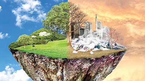 பசுமை சிந்தனைகள் 14: சூழலியலைச் சீரழிப்பது படுகொலை இல்லையா?