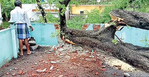 வாணியம்பாடி அடுத்த அம்பலூர் பாலாற்றில் நேற்று பெருக்கெடுத்து ஓடும் மழைநீரில் விளையாடி மகிழும் இளைஞர்கள். அடுத்த படம்: வாணியம்பாடியில் பெய்த கனமழையால் ஷான்பாட்சா என்பவரது வீட்டின் மீது மரம் முறிந்து விழுந்தது.