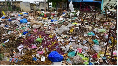 படம்: எஸ்.கிருஷ்ணமூர்த்தி