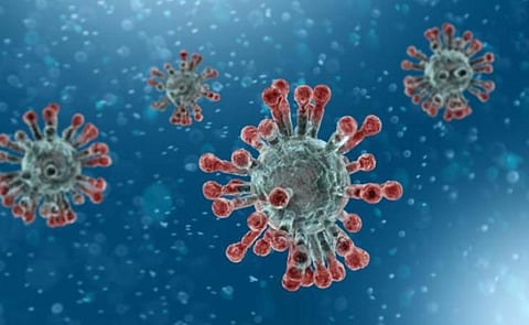 ரேஷன் அரிசி கடத்தல் வழக்கில் முன்ஜாமீன் கோரியவரை கரோனா நிவாரண நிதி அளிக்க உத்தரவிட்ட நீதிபதி