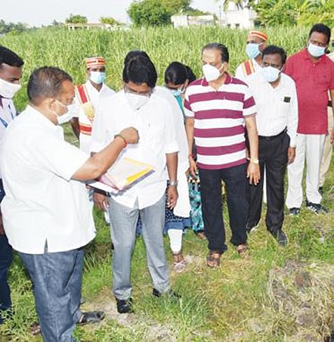 விவசாய நிலத்தில் கழிவுநீர் கலப்பு : நரையூர் கிராமத்தில் விழுப்புரம் ஆட்சியர் ஆய்வு