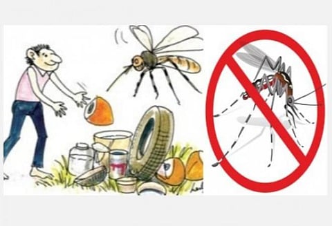 டெங்குவை ஒழிக்கப் பொதுமக்களின் முழு ஒத்துழைப்பு தேவை: சென்னை மாநகராட்சி