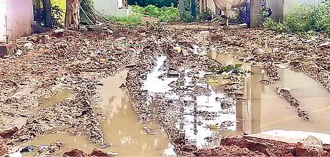 வேலூர் மாநகராட்சிக்கு உட்பட்ட 15-வது வார்டு ராஜீவ்காந்தி நகரில் சேறும், சகதியுமாக உள்ள சாலை.