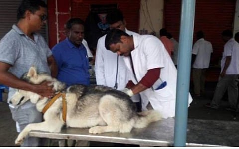 கோப்புப்படம்