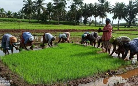 கோப்புப்படம்