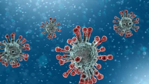 விழுப்புரத்தில் படிப்படியாக உயரும் கரோனா தொற்று