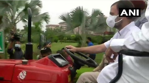 டெல்லியில் டிராக்டரில் நாடாளுமன்றம் நோக்கிச் சென்ற காங்கிரஸ் எம்.பி. ராகுல் காந்தி | படம் ஏஎன்ஐ