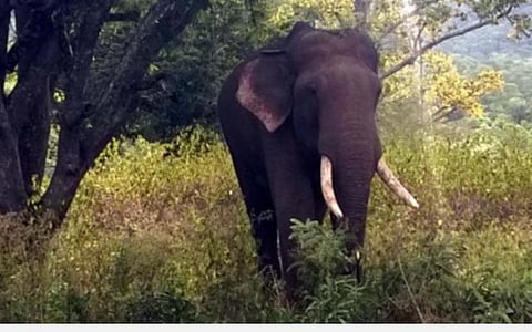 பிரதிநிதித்துவப் படம்.