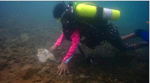 ஆழ்கடலில் பிளாஸ்டிக் கழிவுகளை அகற்றும் 8 வயதுச் சிறுமி: கடல்வாழ் உயிரினங்களைக் காக்கத் திட்டம்