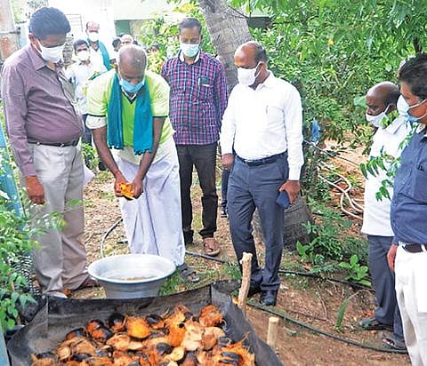 கடலூர் அருகே வரகால்பட்டில் விவசாயிகளுக்கு நடந்த பயிற்சியில் இயற்கை முறையில் உரம் தயார் செய்யும் முறையை மாவட்ட ஆட்சியர் கி.பாலசுப்ரமணியம் பார்வையிட்டார்.