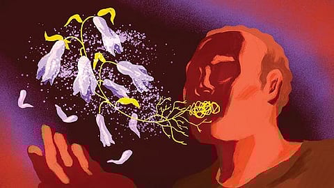 பசுமை சிந்தனைகள் 17: சூழலியல் வளமே மொழி வளம்