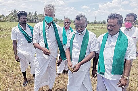 திருவாரூர் மாவட்டம் ஆலத்தம்பாடியில் சாகுபடி செய்யப்பட்டுள்ள குறுவை பயிர் களை நேற்று பார்வையிட்ட பி.ஆர்.பாண்டியன் உள்ளிட்ட விவசாய சங்கத்தினர்.