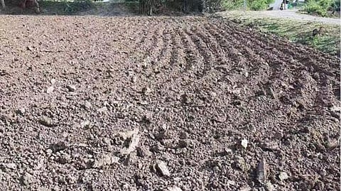 கீரப்பாளையம் அருகே உள்ள எண்ணாநகரத்தில் விவசாயிகள் வயலில் கோடை உழவு மேற்கொண்டுள்ளனர்.