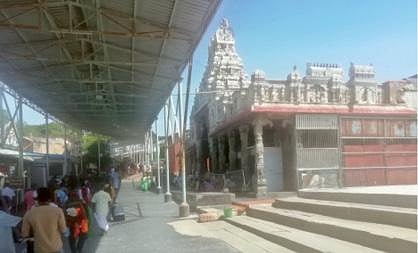 திருச்செந்தூர் சுப்பிரமணிய சுவாமி கோயிலில் 8 நாட்களுக்கு பிறகு சுவாமியை தரிசனம் செய்ய பக்தர்கள் நேற்று அனுமதிக்கப்பட்டனர்.