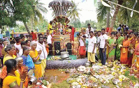 கிருஷ்ணகிரி அருகே சின்னதக்கேப்பள்ளி நாகம்மன் கோயிலில், நாக சதுர்த்தியை முன்னிட்டு பாலாபிஷேக திருவிழா நடைபெற்றது.