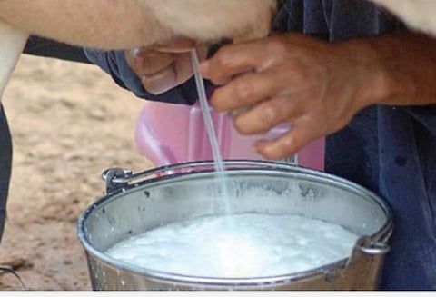 பால்வளத்துறை என்பது ஆவின் மட்டுமல்ல; ஏமாற்றமளிக்கும் வேளாண் பட்ஜெட்- பால் முகவர்கள் சங்கம் கண்டனம்