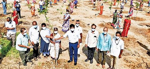 கொத்தாம்பாக்கம் கிராமத்தில் மரக்கன்றுகள் நடும் திட்டத்தை ஆட்சியர் மோகன் தொடக்கி வைத்தார்.