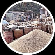 வேளாண் பட்ஜெட்: நெல் கொள்முதல் விலை உயர்வு; 6 லட்சம் விவசாயிகள் பயன்பெறுவார்கள்