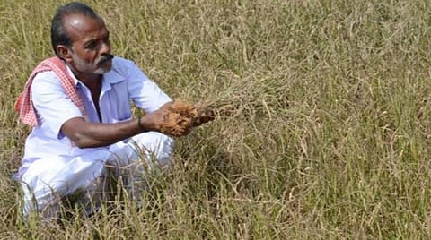 ரூ.2,327 கோடி ஒதுக்கீட்டில் பயிர்க் காப்பீட்டுத் திட்டம்: தமிழக அரசு அறிவிப்பு