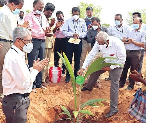 கிள்ளிகுளம் வேளாண்மை கல்லூரியில் இயற்கை இனச்சேர்க்கை முறையிலான வீரிய நெட்டை தென்னை ஆய்வுத்திடலில் முதல் நெட்டை தென்னங்கன்றை தமிழ்நாடு வேளாண்மை பல்கலைக்கழக துணைவேந்தர் நீ.குமார் நட்டு வைத்தார்.