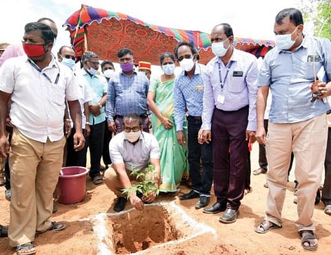 கிருஷ்ணகிரி அருகே பில்லனகுப்பம் கிராமத்தில் கால்நடைகளுக்கு மேய்க்கால் நிலத்தில் பசந்தீவனம், மரம் வளர்ப்பு பணிகளை ஆட்சியர் ஜெயசந்திர பானு ரெட்டி தொடங்கி வைத்தார்.