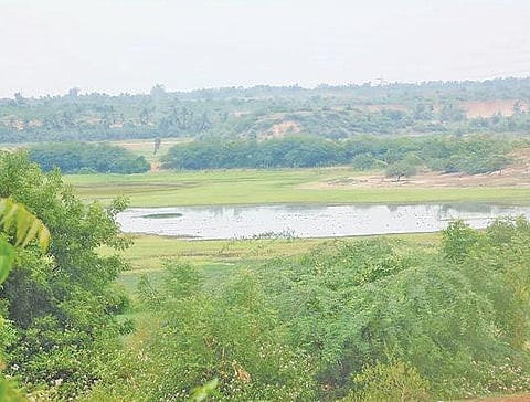 கொண்டாங்கி ஏரி.