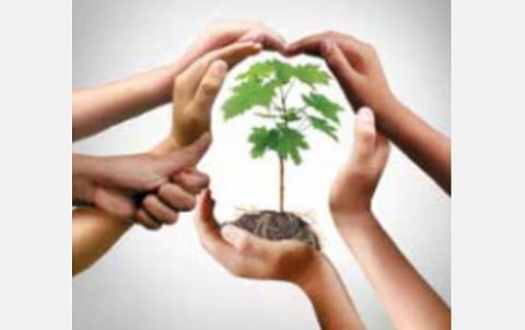 பசுமை சிந்தனைகள் 19: இயற்கைக்கு ஏன் உரிமைகள் வழங்கப்படவில்லை?