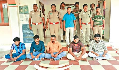 வாழப்பாடி அருகே காரில் யானை தந்தங்களை கடத்த முயன்றபோது கைதான 5 பேர் (உட்கார்ந்து இருப்பவர்கள்) மற்றும் பறிமுதல் செய்யப்பட்ட தந்தங்களுடன் வனத்துறையினர்.