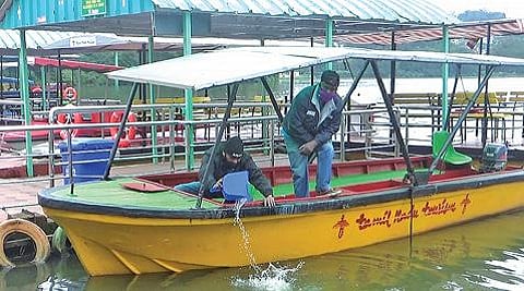 சுற்றுலா பயணிகளை வரவேற்க நீலகிரி பூங்காக்கள் தயார் :