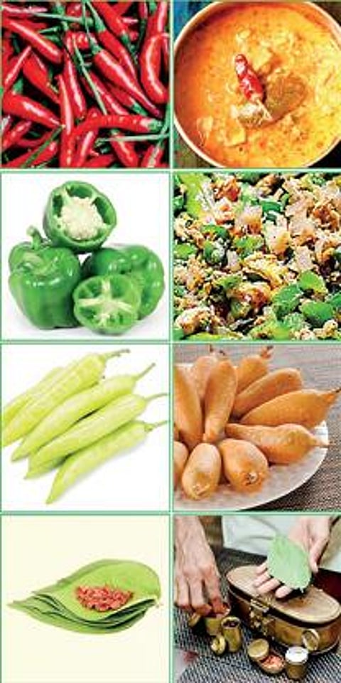 அறிவுக்கு ஆயிரம் கண்கள் 19: ஆயிரம் சுவைகளும் அறிவியல் பின்னணியும்