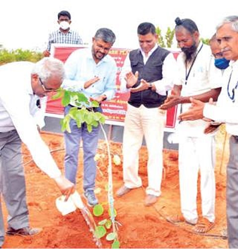 கிள்ளிகுளம் வேளாண்மைக் கல்லூரியில் முன்னாள் மாணவர்கள் சார்பில் நடைபெற்ற மரக்கன்றுகள் நடும் திட்டத்தை தமிழ்நாடு வேளாண்மை பல்கலைக்கழக துணைவேந்தர் என்.குமார் தொடங்கி வைத்தார்.