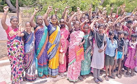 திருநெல்வேலியில் சாலையோர வியாபாரிகளுக்கு நிரந்தர கடை அமைத்து தர வேண்டும் என்று வலியுறுத்தி மாவட்ட ஆட்சியர் அலுவலகத்தில் மனு அளிக்கப்பட்டது. (அடுத்த படம்) காட்டு நாயக்கர் சமுதாயத்தை சேர்ந்தவர்கள் சாதி சான்றிதழ் வழங்க கேட்டு மனு அளித்தனர். படங்கள் மு. லெட்சுமி அருண்