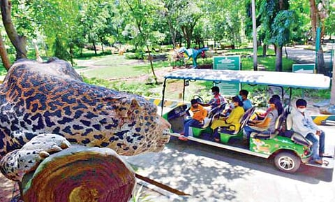 சேலம் குரும்பப்பட்டி உயிரியல் பூங்கா நேற்று திறக்கப்பட்டது. இதையடுத்து, பேட்டரி வாகனத்தில் பயணம் செய்து பூங்காவை சுற்றிப் பார்த்த பயணிகள்.படம்: எஸ்.குரு பிரசாத்