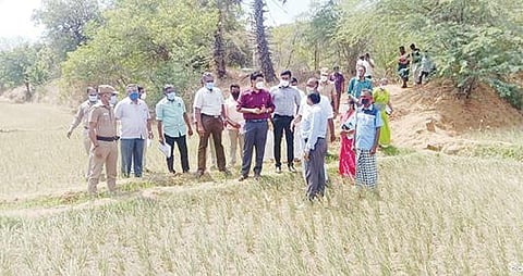 அம்பாசமுத்திரம் அருகே தண்ணீறின்றி நெற்பயிர்கள் கருகுவதாக வந்த புகாரை அடுத்து மாவட்ட ஆட்சியர் வே. விஷ்ணு நேரில் ஆய்வு மேற்கொண்டார்.