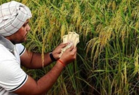 மகளிருக்கு ரூ.1 கோடி மானியம்; சிறப்பான தரிசு சாகுபடிக்கு ரொக்கப் பரிசு