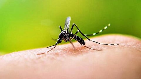 உ.பி.யின் பெரோஸாபாத்தில் பரவும் டெங்கு காய்ச்சலுக்கு 46 பேர் உயிரிழப்பு: தொகுதி பாஜக எம்எல்ஏ மணிஷ் அசிஜா புகார்