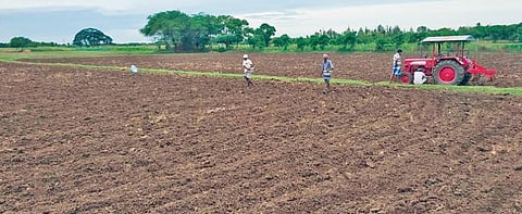 காட்டுமன்னார்கோவில் அருகே உள்ள மோவூரில் விவசாயிகள் நேரடி நெல் விதைப்பில் ஈடுபட்டுள்ளனர்.