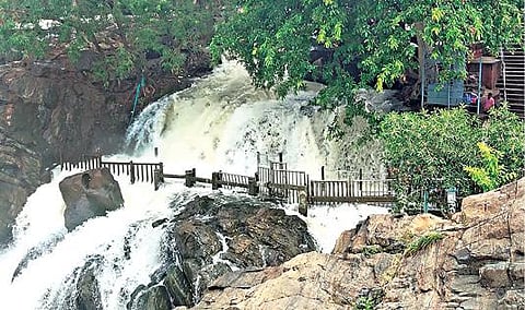 தருமபுரி மாவட்டம் ஒகேனக்கல் காவிரியாற்றில் நீர்வரத்து விநாடிக்கு 20 ஆயிரம் கனஅடியாக அதிகரித்துள்ள நிலையில் பிரதான அருவிப் பகுதியில் ஆர்ப்பரித்துக் கொட்டும் தண்ணீர்.