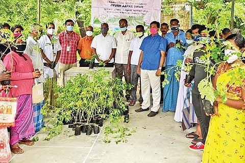 மேகலசின்னம்பள்ளியில் மக்களைத் தேடி மருத்துவம் திட்டத்தின் கீழ் மூலிகை செடிகள் மற்றும் விதைகள் பொதுமக்களுக்கு வழங்கப்பட்டது.